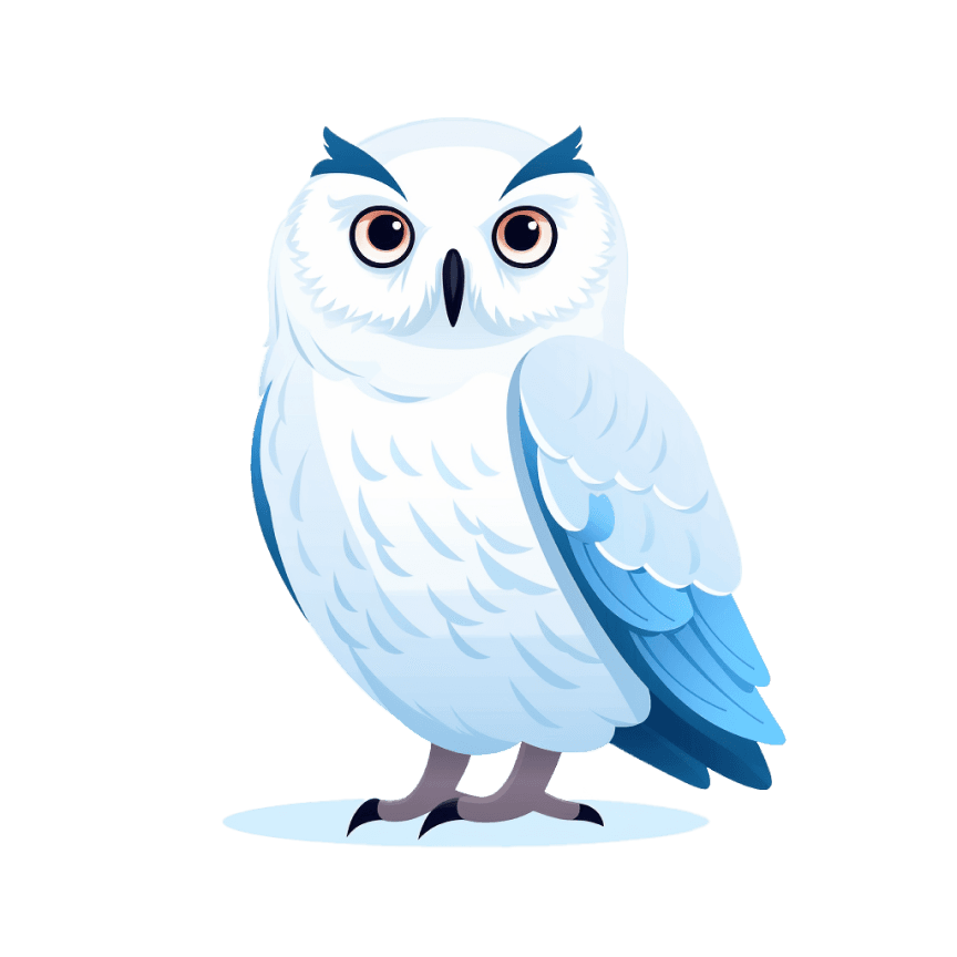 owl